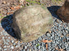 Export Quality Memorial Rock Urn 1755