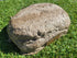 Partial Ash Rock Urn PA 1882 Natural Riversand