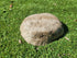 Partial Ash Rock Urn PA 1882 Natural Riversand