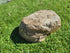 Partial Ash Rock Urn PA 1885 Natural Riversand