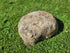 Partial Ash Rock Urn PA 1885 Natural Riversand