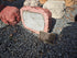 Memorial Rock Urn 2127 Regular Red