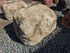 Memorial Rock Urn 2140 Extra-Large  Natural Riversand
