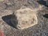 Memorial Rock Urn 2141 Extra-Large  Natural Riversand