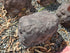 Memorial Rock Urn  2144 Regular Black