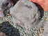 Memorial Rock Urn  2145 Regular Black