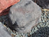 Memorial Rock Urn  2145 Regular Black