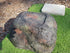 Memorial Rock Urn 973 Medium-Single