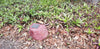 Discounted Memorial Rock Urn 1154 Medium Red