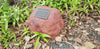 Large Double Memorial Rock Urn 1168  Red