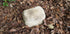 PET Memorial Rock Urn 1200