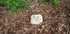 PET Memorial Rock Urn 1200