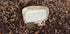 PET Memorial Rock Urn 1209